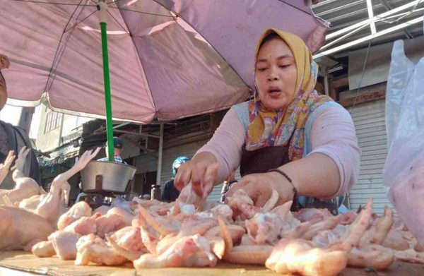 Harga Ayam di Bandar Lampung Naik Menjelang Penerapan HET Pemerintah