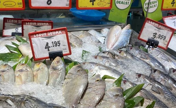 Naik, Harga Sejumlah Ikan di Swalayan Bandarlampung